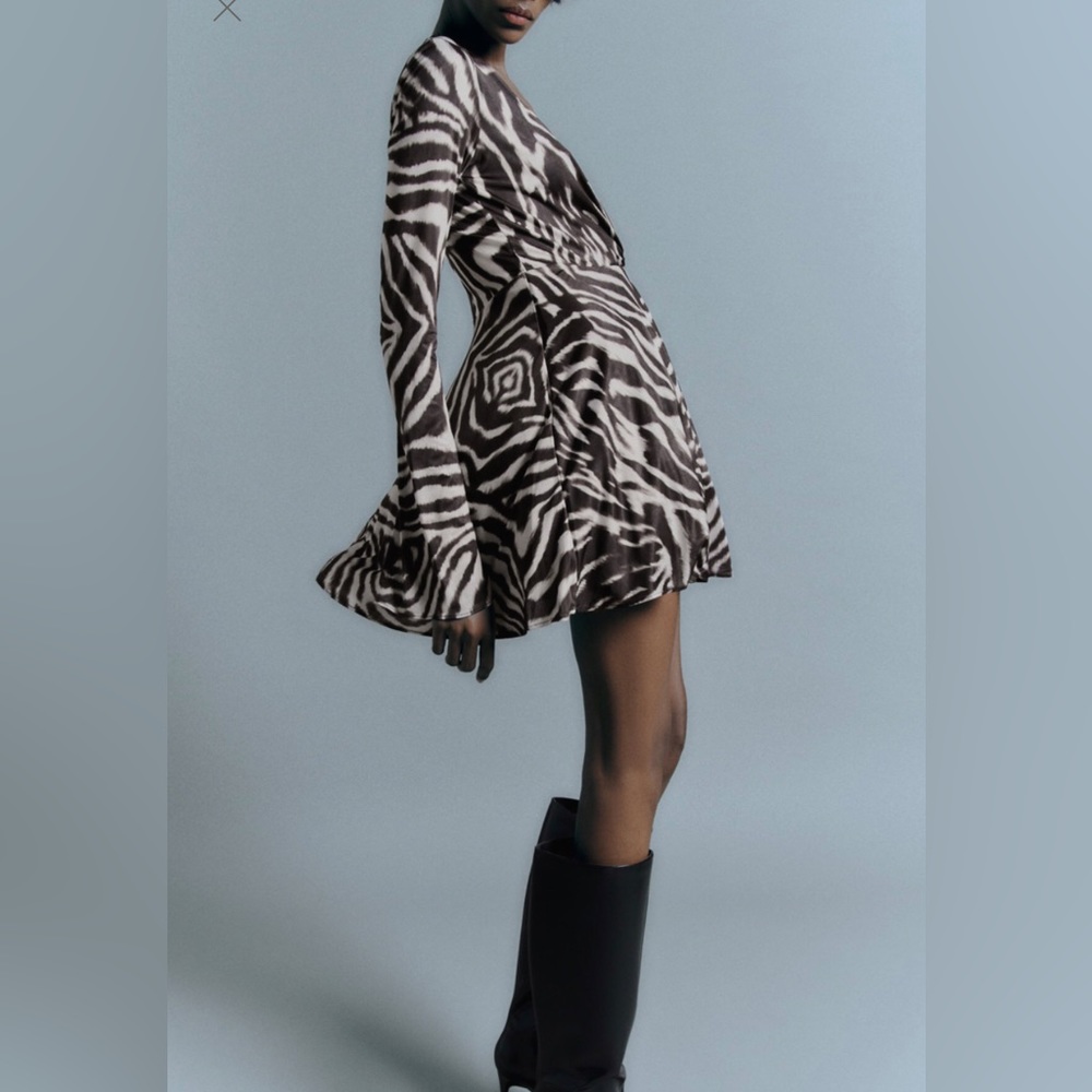 Zara - Zebra Printed Dress - Picture 3 of 8